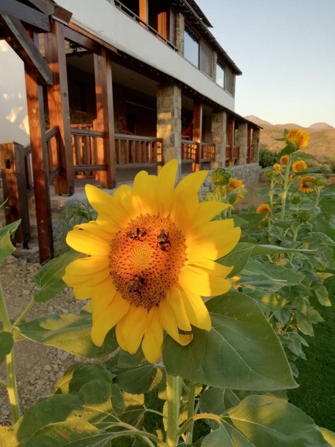 Anemomylos House *